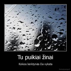 Tu puikiai žinai - Kokios lenktynės čia vyksta