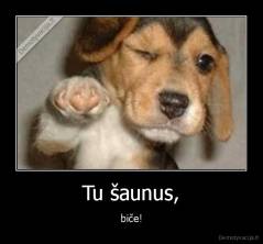 Tu šaunus, - biče!