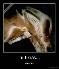 Tu tikras... - malačius!