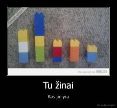 Tu žinai - Kas jie yra