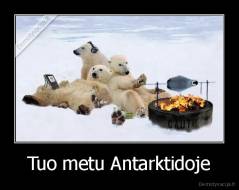 Tuo metu Antarktidoje - 