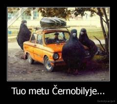 Tuo metu Černobilyje... - 