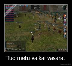 Tuo metu vaikai vasara. - 