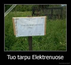 Tuo tarpu Elektrenuose - 
