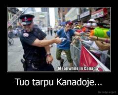 Tuo tarpu Kanadoje... - 