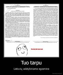 Tuo tarpu - Lietuvių valstybiniame egzamine