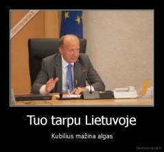 Tuo tarpu Lietuvoje - Kubilius mažina algas