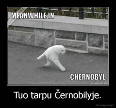 Tuo tarpu Černobilyje. - 