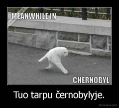 Tuo tarpu černobylyje. - 
