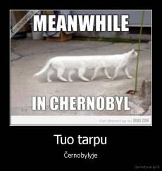 Tuo tarpu - Černobylyje
