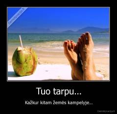 Tuo tarpu... - Kažkur kitam žemės kampelyje...