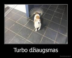 Turbo džiaugsmas - 