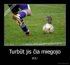 Turbūt jis čia miegojo - KOL!