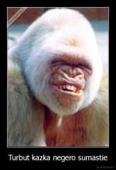 Turbut kazka negero sumastie - 