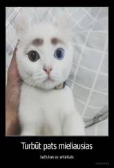 Turbūt pats mieliausias - kačiukas su antakiais