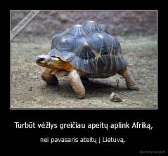 Turbūt vėžlys greičiau apeitų aplink Afriką, - nei pavasaris ateitų į Lietuvą. 