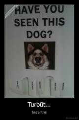 Turbūt... - kas antras