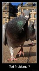 Turi Problemu ? - 