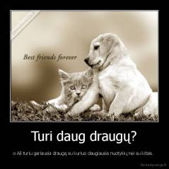 Turi daug draugų? - o Aš turiu geriausia draugą su kuriuo daugiausia nuotykių nei su kitais. 