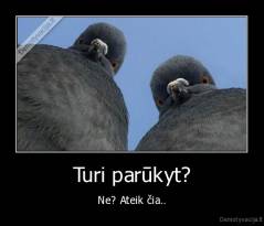 Turi parūkyt? - Ne? Ateik čia..