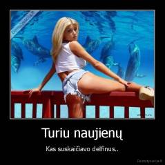 Turiu naujienų - Kas suskaičiavo delfinus..