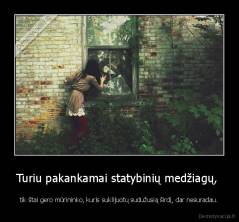 Turiu pakankamai statybinių medžiagų,  - tik štai gero mūrininko, kuris suklijuotų sudužusią širdį, dar nesuradau.