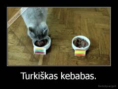 Turkiškas kebabas. - 