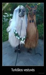 Turkiškos vestuvės - 