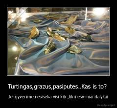 Turtingas,grazus,pasiputes..Kas is to?  - Jei gyvenime nesiseka visi kiti ,tikri esminiai dalykai
