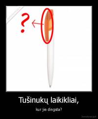 Tušinukų laikikliai, - kur jie dingsta?