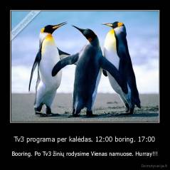 Tv3 programa per kalėdas. 12:00 boring. 17:00 - Booring. Po Tv3 žinių rodysime Vienas namuose. Hurray!!!