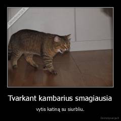 Tvarkant kambarius smagiausia - vytis katiną su siurbliu.