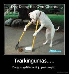 Tvarkingumas..... - Daug ko galėtume iš jo pasimokyti...