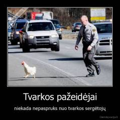 Tvarkos pažeidėjai - niekada nepaspruks nuo tvarkos sergėtojų