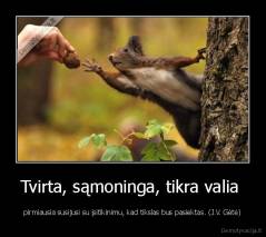 Tvirta, sąmoninga, tikra valia  - pirmiausia susijusi su įsitikinimu, kad tikslas bus pasiektas. (J.V. Gėtė)