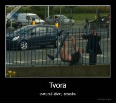 Tvora - naturali idiotų atranka