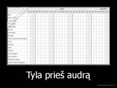 Tyla prieš audrą - 