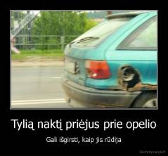 Tylią naktį priėjus prie opelio - Gali išgirsti, kaip jis rūdija