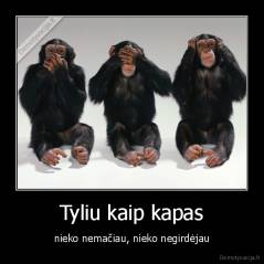 Tyliu kaip kapas - nieko nemačiau, nieko negirdėjau