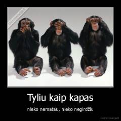 Tyliu kaip kapas - nieko nematau, nieko negirdžiu