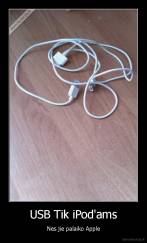 USB Tik iPod'ams - Nes jie palaiko Apple