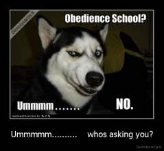 Ummmmm..........    whos asking you? - 