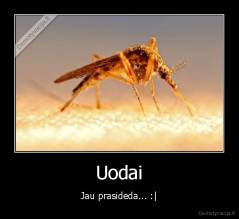 Uodai - Jau prasideda... :|