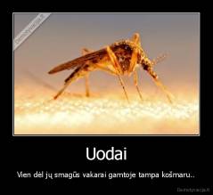 Uodai - Vien dėl jų smagūs vakarai gamtoje tampa košmaru..
