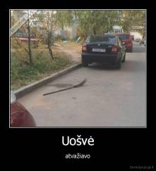 Uošvė - atvažiavo