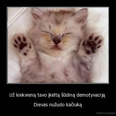 Už kiekvieną tavo įkėltą šūdiną demotyvaciją  - Dievas nužudo kačiuką