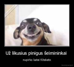 Už likusius pinigus šeimininkai  - nupirko katei Kiteketo