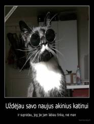 Uždėjau savo naujus akinius katinui - ir supratau, jog jie jam labiau tinka, nei man