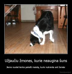 Užjaučiu žmones, kurie neaugina šuns - Jiems nuolat tenka pakelti maistą, kuris nukrenta ant žemės