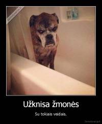 Užknisa žmonės - Su tokiais veidais.